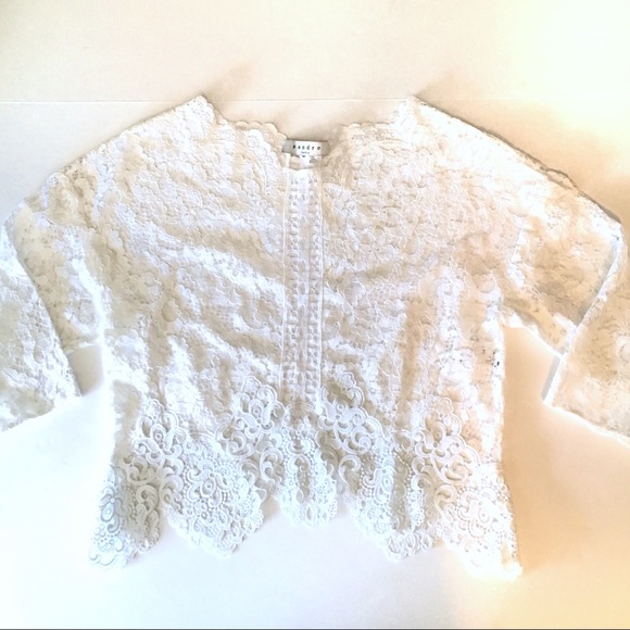 Sandro Paris Cropped Sheer Lace Top Half Sleeve - Picture 3 of 8